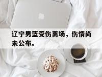 问鼎娱乐官方-辽宁男篮受伤离场，伤情尚未公布。