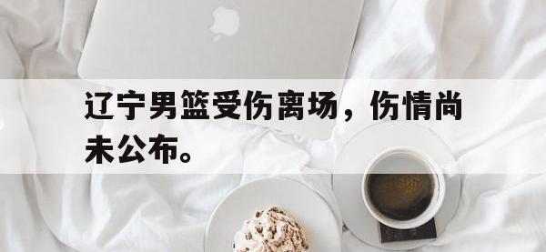 问鼎娱乐官方-辽宁男篮受伤离场，伤情尚未公布。