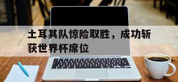 问鼎娱乐app下载-土耳其队惊险取胜，成功斩获世界杯席位