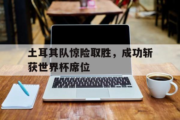 土耳其队惊险取胜，成功斩获世界杯席位